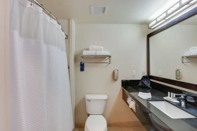 جناح بسرير كينج بغرفة نوم واحدة مع أريكة، Fairfield Inn & Suites San Francisco Airport/Millbrae 1/1