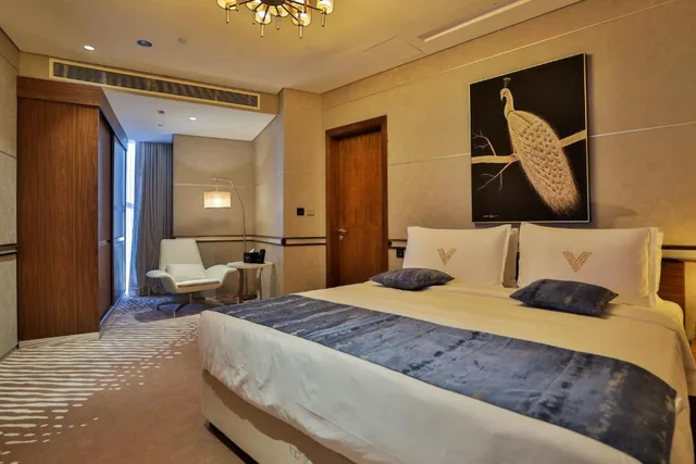جناح تنفيذي، Vip Hotel 1/1
