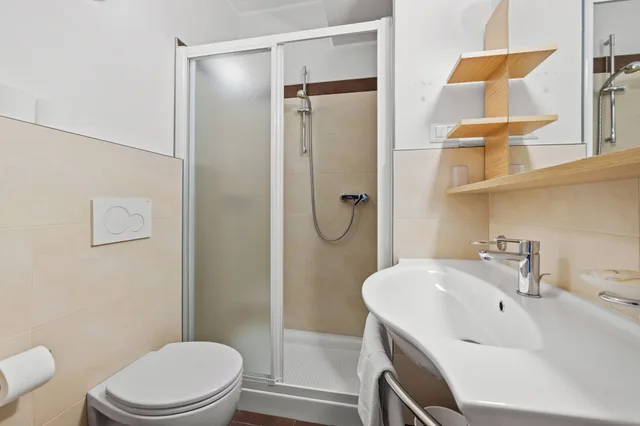 1 Bedroom, Panoramic, Apartment, Valley View, Balcony، Residence Lagorai 8/8