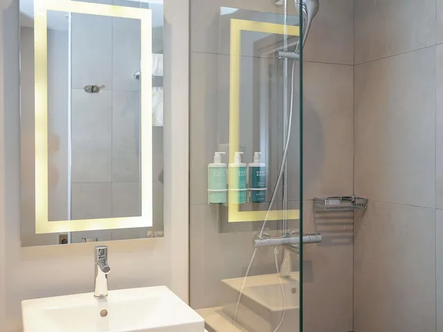 غرفة تنفيذية بسرير كوين، NOVOTEL Bishkek City Center 8/8