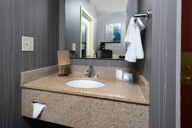 غرفة بسرير كينج مع أريكة بحوض استحمام لذوي الإعاقة، Courtyard Danville 3/3