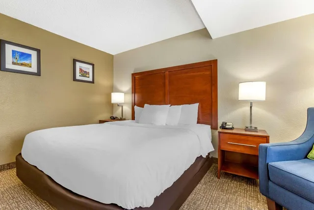 غرفة قياسية بسرير كينج لذوي الإعاقة، Comfort Inn & Suites Phoenix North / Deer Valley 3/7