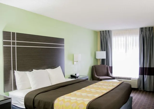 غرفة قياسية بسرير كينج يُسمح فيها بالحيوانات الأليفة، Best Western Coachlight 1/4