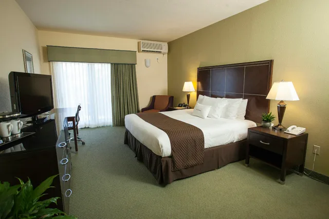 جناح جونيور بسرير كينج، DoubleTree by Hilton Napa Valley American Canyon 1/1