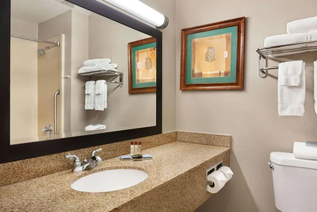 غرفة ديلوكس بسرير كينج لذوي الإعاقة، Wingate By Wyndham Bentonville Airport 3/7