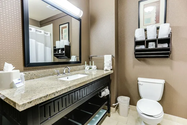 Standard, King Bed, Accessible, Holiday Inn Express Hotel And Suites Huntsville 1/2