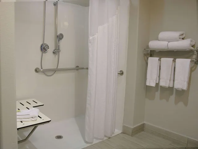 جناح بسرير كينج لذوي الإعاقة، Comfort Inn & Suites Dallas Medical-Market Center 3/3