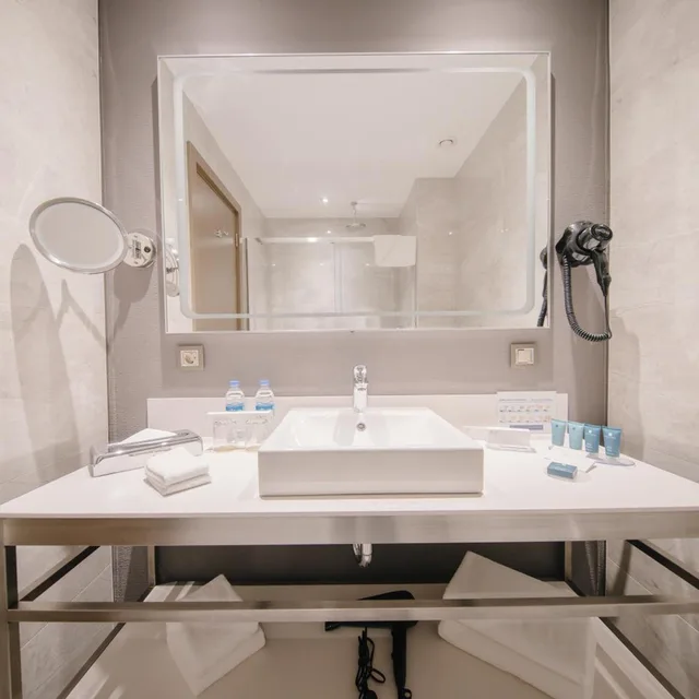 غرفة ديلوكس بسرير فردي، Wyndham Grand Tbilisi 5/5