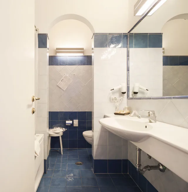 Superior, Single, Double Bed, Reginna Palace 6/8