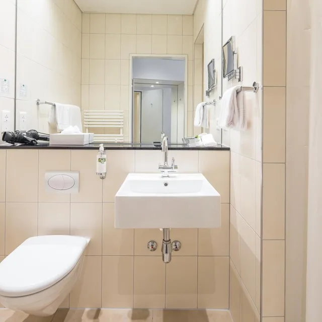 غرفة اقتصادية مفردة بسرير مزدوج، Hotel Schweizerhof Basel 5/5