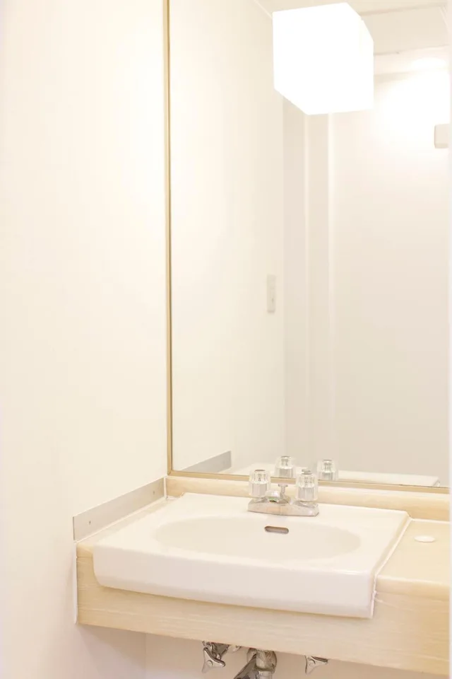 غرفة بسرير مزدوج، Shin-Okubo City Hotel 3/4