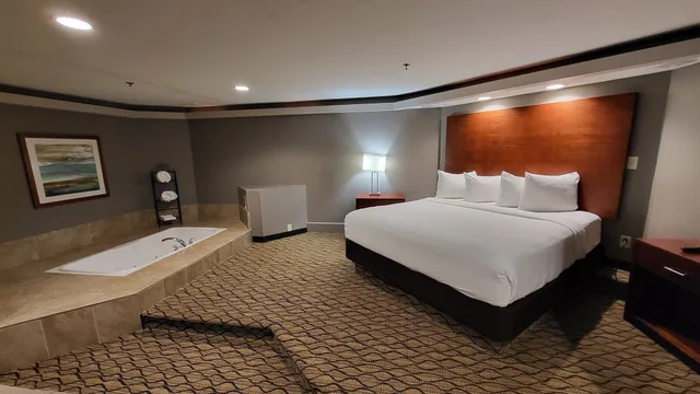 جناح رئاسي بسرير كينج بغرفة نوم واحدة، Wyndham Garden Fort Wayne 1/4