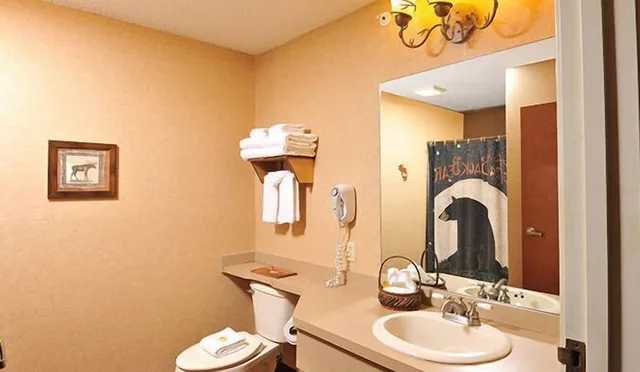 جناح بسرير كينج مع أريكة، Boarders Inn & Suites by Cobblestone Hotels - Waukon 2/2