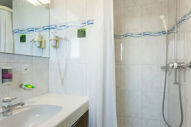 Alpine, Single، Hotel Jaegerhof 11/12