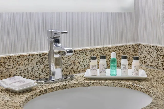 Executive, Suite, King Bed, Sofa, Delta Hotels by Marriott Detroit Novi 4/4