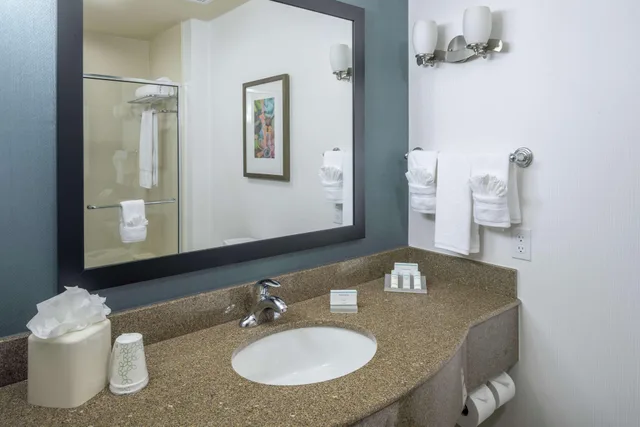 غرفة بريميوم، Hilton Garden Inn Dfw North Grapevine 2/2