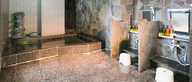 غرفة، Hotel Shinsuien 1/1