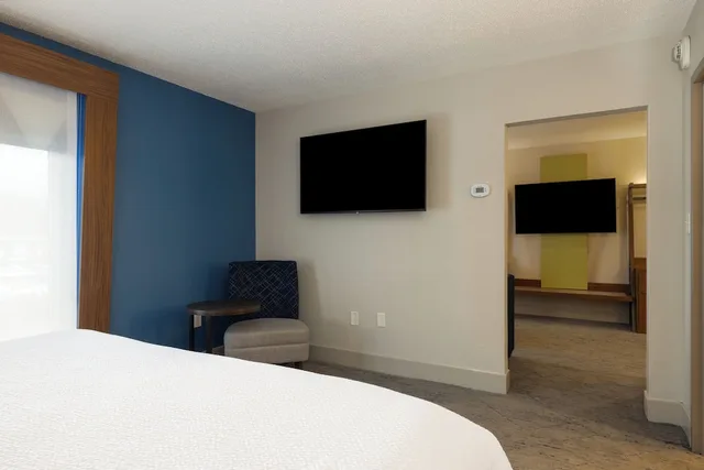 1 Bedroom, Suite, King Bed, Sofa, Holiday Inn Express Charleston US Hwy 17 & I-526 4/7