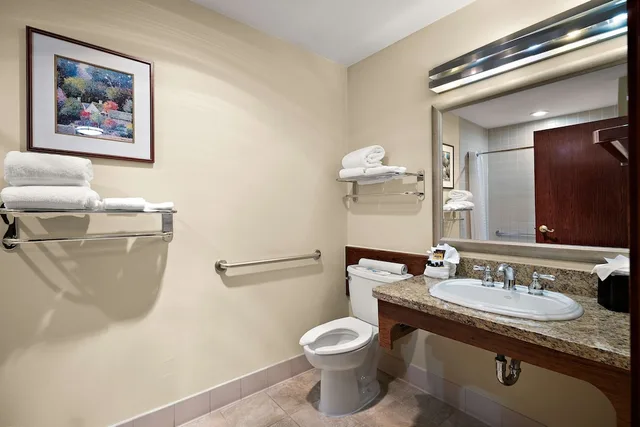 Standard, King Bed, Accessible, Best Western Plus Gold Country Inn 3/5