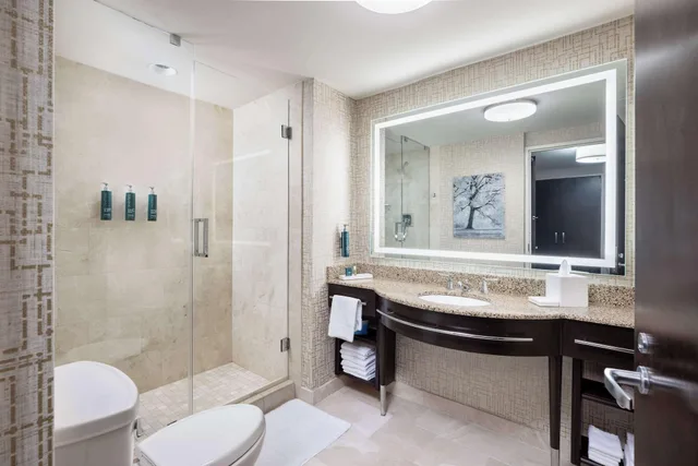 جناح، Hilton Americas Houston 2/2
