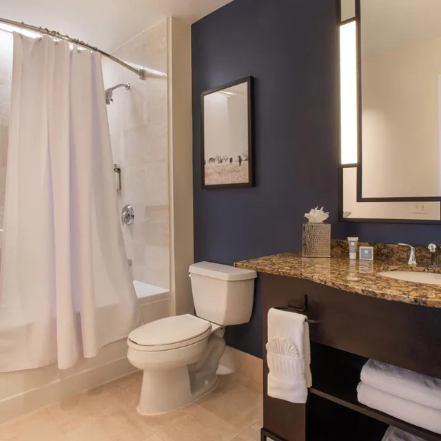 1 Bedroom, Junior Suite, King Bed, No View, Middle Floor، Magnolia Hotel Houston 4/4