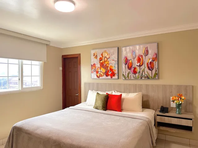 Superior, King Bed, Hotel Andros 1/5