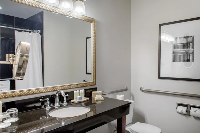 غرفة ديلوكس بسرير مزدوج، The Riverfront Hotel New Orleans 3/3