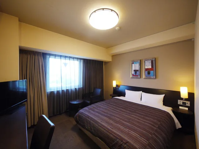 غرفة قياسية، Hotel Route-Inn Mitokenchomae 1/1