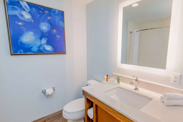 Junior Suite, King Bed, Sofa, Hilton Pensacola Beach 1/2