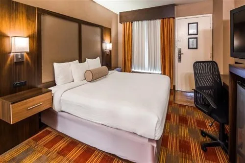 غرفة قياسية بسرير كينج، Best Western Salisbury Plaza 2/2