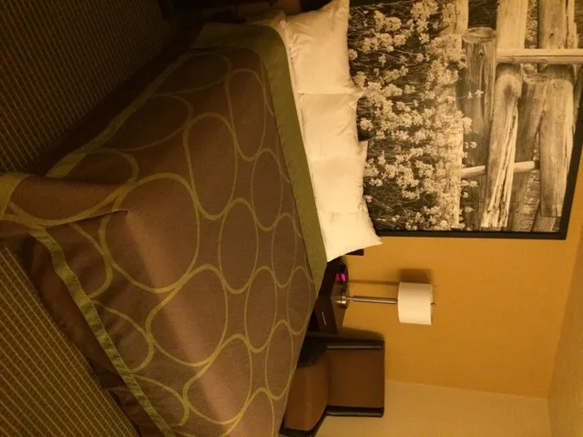 Standard, King Bed, Super 8 By Wyndham Idaho Falls 4/4