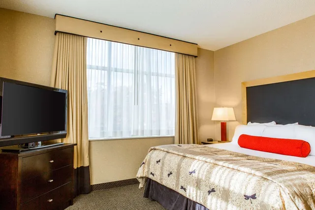 Upgrade, Suite, King Bed, Accessible، Cambria Hotel Raleigh-Durham Airport 1/1