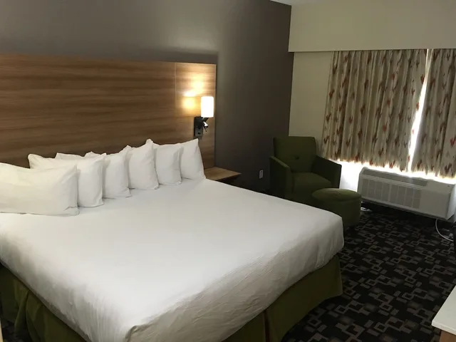 Room, King Bed, Baymont by Wyndham Medicine Hat 4/10
