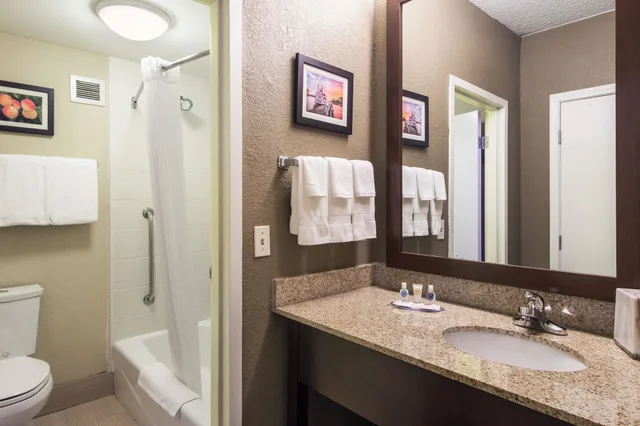 غرفة بسرير كينج لذوي الإعاقة، Comfort Inn Roswell-Dunwoody 7/9