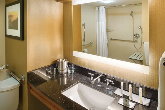 غرفة ديلوكس بسرير كينج لذوي الإعاقة، Doubletree By Hilton Hotel Seattle Airport 2/2