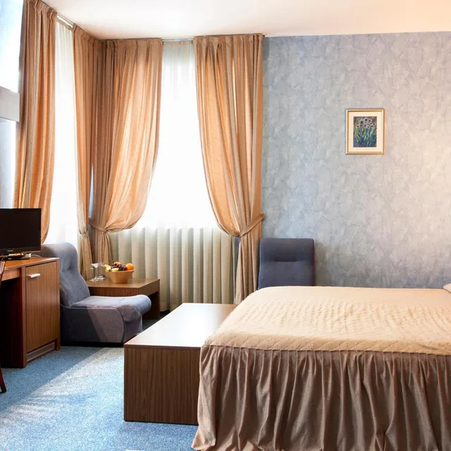 استوديو بسرير كينج، Diter Hotel 4/10