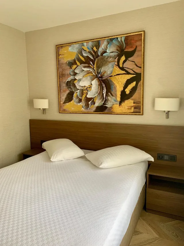جناح ديلوكس بسرير مزدوج، Istanbul Park Hotel 2/6
