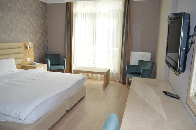 جناح، Hotel Kale Palace 2/8