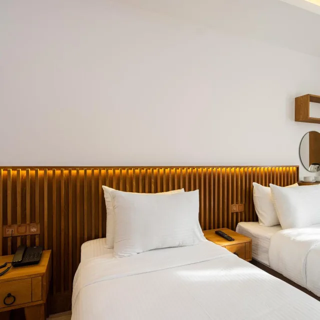 غرفة ديلوكس بسريرين منفصلين، Castillo Rojo Hotel Istanbul 4/10