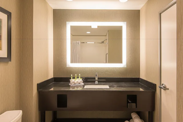 Feature, Standard, King Bed, Jetted Tub, Holiday Inn Express and Suites Norwood Boston Area 2/3