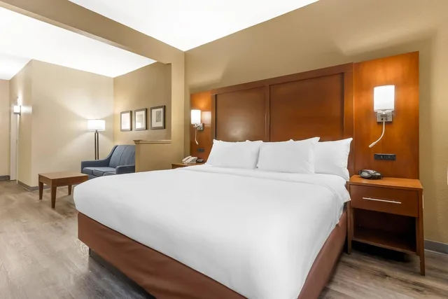 Suite, King Bed, Sofa, Comfort Suites At The University 3/10