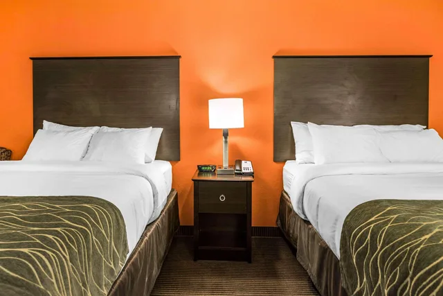 Room, 2 Queen Beds, Comfort Inn Wings Stadium 2/5