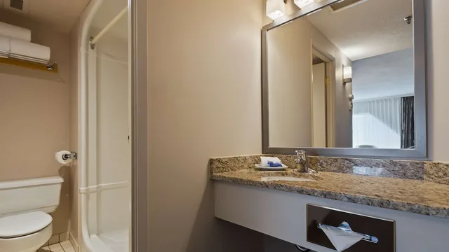 غرفة قياسية بسرير كينج بحوض جاكوزي، Best Western Plus Lamplighter Inn And Conference Centre 3/4