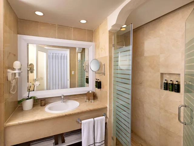 Master, the Level, Palm, Tropical, Suite, Melia Punta Cana Beach 5/5