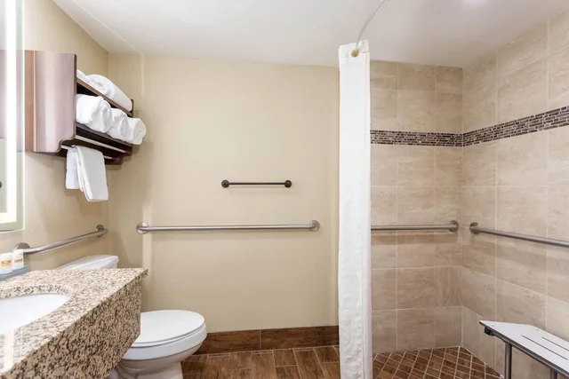 Room, King Bed, Accessible, La Quinta Inn Suites Pigeon Forge 7/10