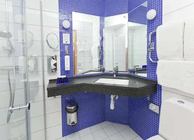 غرفة قياسية بسرير مزدوج، Quality Hotel Grand Boras 8/8