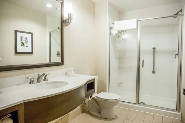 جناح بسرير كينج بغرفة نوم واحدة، Hilton Garden Inn Milwaukee Downtown 2/2