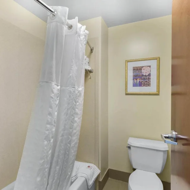 جناح بسرير كوين، Comfort Suites Elkridge Columbia Gateway 4/6