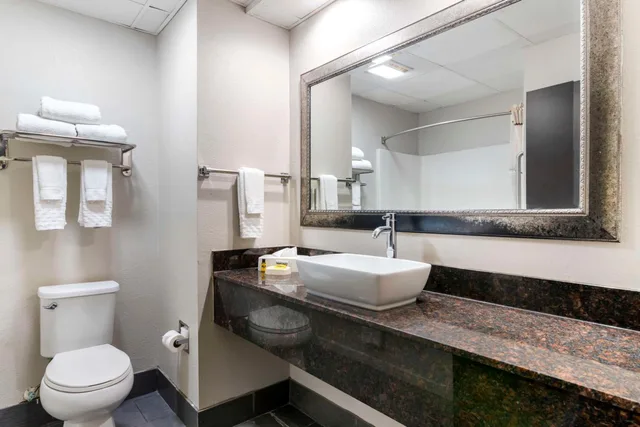 جناح بسرير كينج، Best Western Savannah Airport Inn & Suites 2/2