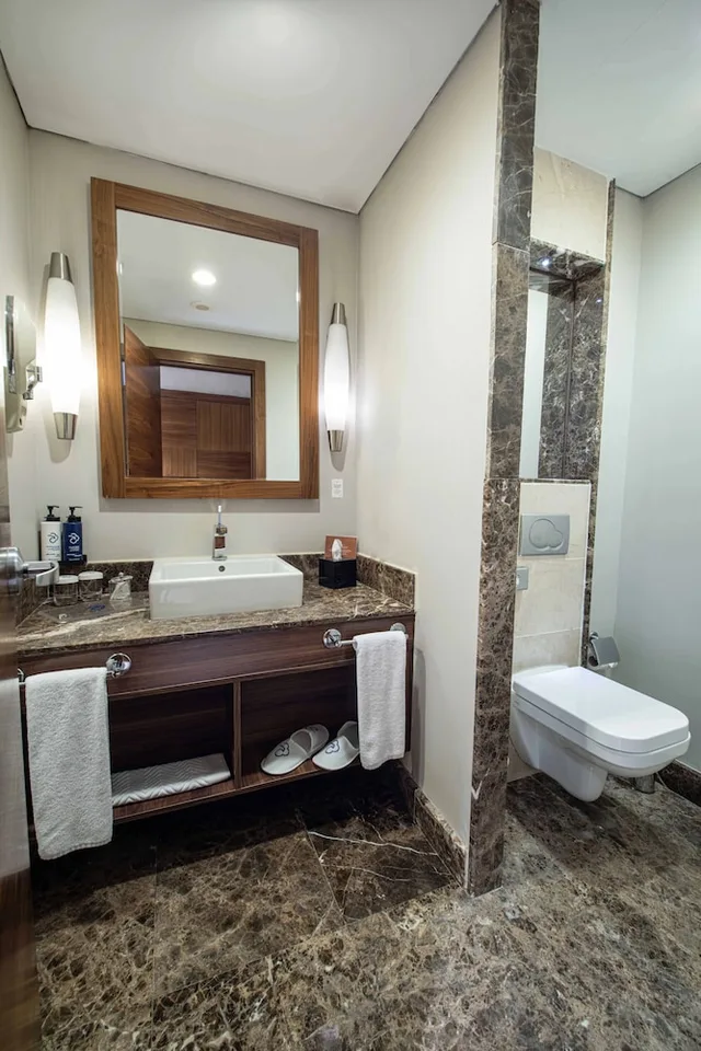 غرفة ديلوكس بسريرين منفصلين، Dedeman Konya Hotel & Convention Center 5/5